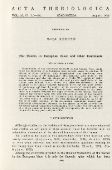 Bisoniana LIV. The thorax in European bison and other ruminants