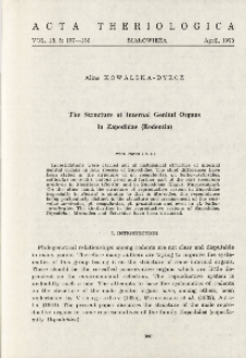 The structure of internal genital organs in Zapodidae (Rodentia)