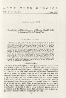 Morphology and histochemistry of thyroid gland C cells of young and adult guinea pigs