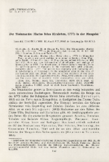 Der Steinmarder Martes foina (Erxleben, 1777) in der Mongolei