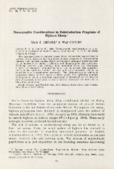 Demographic considerations in reintroduction programs of bighorn sheep
