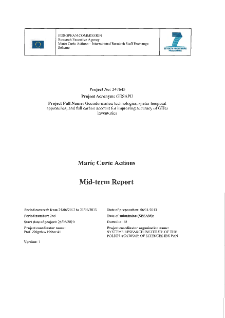 IRSES Mid-Term Report 2