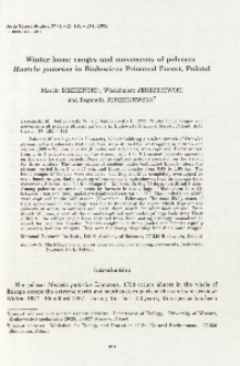 Winter home ranges and movements of polecats Mustela putorius in Białowieża Primeval Forest, Poland