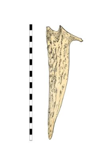 horn with proccesing traces