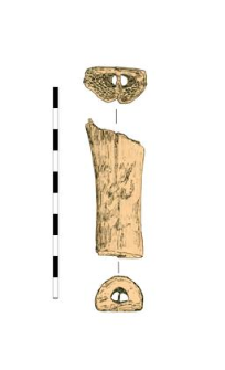 bone, fragment