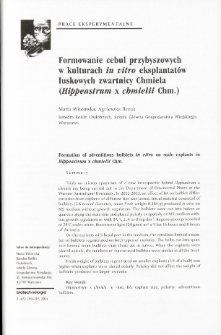 Formation of adventitious bulblets in vitro on scale explants in Hippeastrum x chmielii Chm.