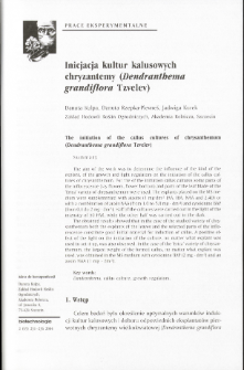 Inicjacja kultur kalusowych chryzantemy (Dendranthema grandiflora Tzvelev)