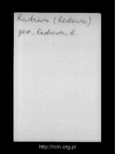 Radziwie. Files of Gostynin district in the Middle Ages. Files of Historico-Geographical Dictionary of Masovia in the Middle Ages