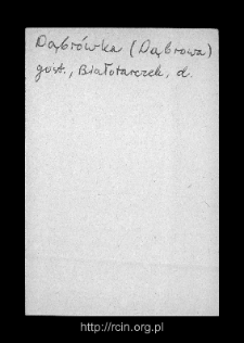 Dąbrówka Duża. Files of Gostynin district in the Middle Ages. Files of Historico-Geographical Dictionary of Masovia in the Middle Ages