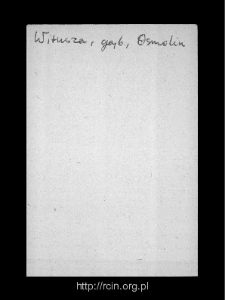 Witusza. Files of Gostynin district in the Middle Ages. Files of Historico-Geographical Dictionary of Masovia in the Middle Ages