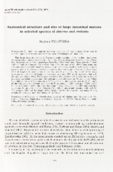 Anatomical structure and size of large intestinal mucosa in selected species of shrews and rodents