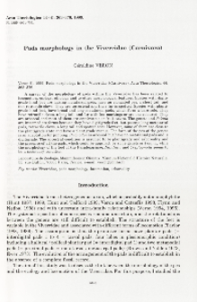 Pads morphology in the Viverridae (Carnivora)