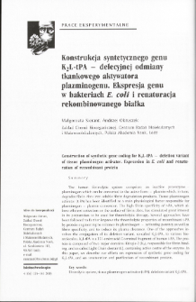 Construction of synthetic gene coding for K2L-tPA - deletion variant of tissue plasminogen activator. Expression in E. coli and renaturation of recombinant protein