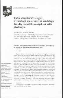 Influence of long-time continuous wine fermentation on morphological changes of yeast immobilized on foam glass