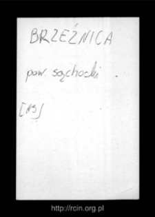 Biele. Files of Sochocin district in the Middle Ages. Files of Historico-Geographical Dictionary of Masovia in the Middle Ages