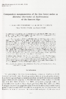 Comparative morphometrics of the first lower molar in Microtus (Terricola) cf. liechtensteini of the Eastern Alps