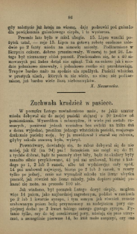 Zuchwała kradzież w pasiece