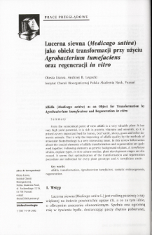 Alfalfa (Medicago saliva) as an Object for Transformation by Agrobacterium tumefaciens and Regeneration in vitro