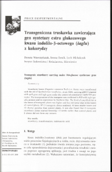 Transgenic strawberry carrying maize IAA-glucose synthetase gene (iaglu)