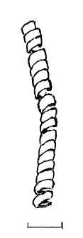 spiralka (Żerniki Górne) - analiza chemiczna