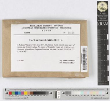 Cortinarius vibratilis (Fr.) Fr.