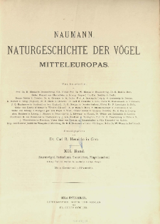 Naumann, Naturgeschichte der Vögel Mitteleuropas. Bd. 12, Sturmvögel, Steissfüsse, Seetaucher, Flügeltaucher