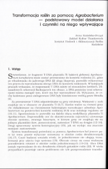 Transformacja roślin za pomocą Agrobacterium— podstawowy model działania i czynniki na niego wpływające