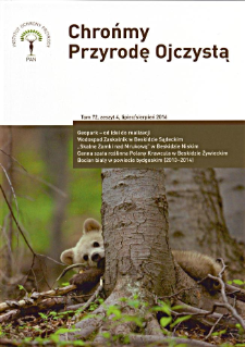 Wodospad Zaskalnik – ważna strefa kontaktu jednostek litostratygraficzych płaszczowiny magurskiej w Beskidzie Sądeckim