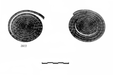 disc shaped fibula 2 fragments (Strzeżewo) - chemical analysis