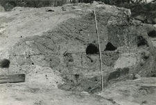 The so-called Mieszko III the Old and Mieszko Mieszkowic tomb, season 1988, cross section