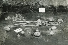 Grave 2-88, burial - skeleton