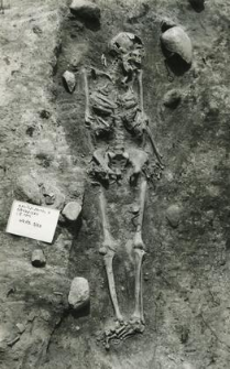 Grave 3-88, burial - skeleton in burial cut