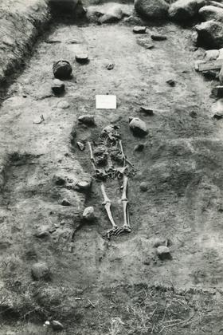 Grave 3-88, burial - skeleton in burial cut