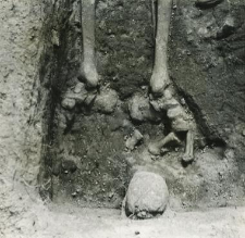 Grave 4-88, burial cut, inhumation - skeleton with birth defect