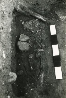 Grave 5-89, inhumation - child skeleton