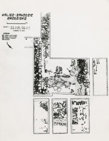 Fundament wieży i grób 4-59, wkop grobowy (rysunek zbiorczy)