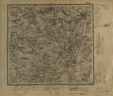 Nieśwież XIX-21 : podziałka 1:100.000