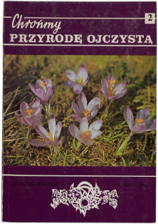 Orobanche flava in the Sudeten Mtns.