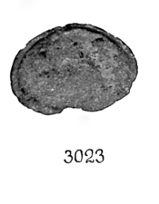 knob (Staw-Szczecin) - metallographic analysis