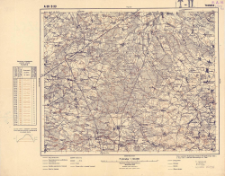 A 39 B 33 Tłuszcz : podziałka 1:100.000