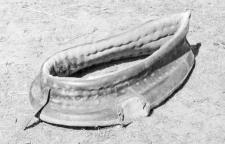 Padding of a horse collar