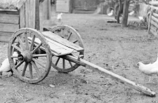 Back part of a wagon used as a two-wheeled cart