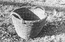 Basket with two handles