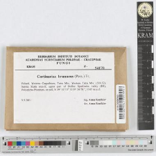 Cortinarius brunneus (Pers.) Fr.