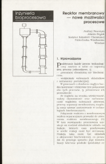 Membrane reactor — new possibilities