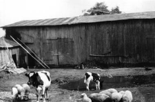 A barn