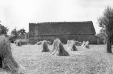 A barn