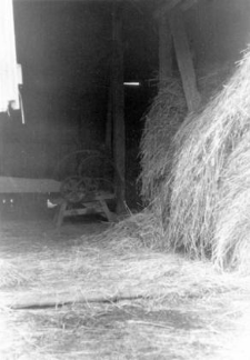 A structure of a barn - inside (pillars)