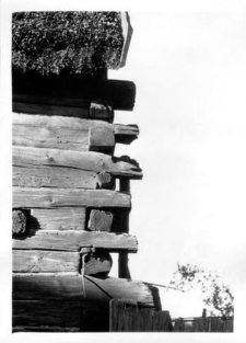 A quoin in a log barn