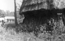 A building fragment, thatched roof